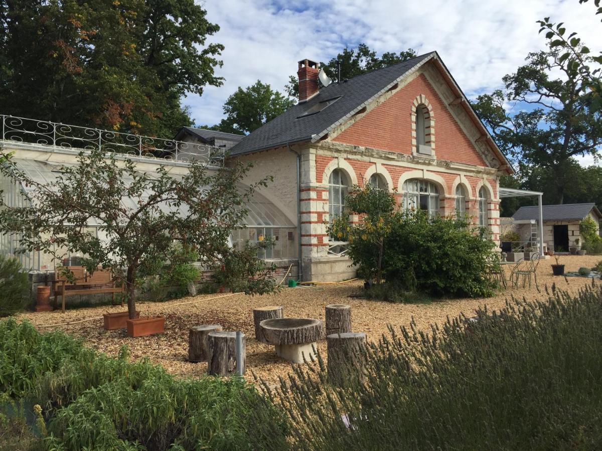 L'Orangerie "The Orangery" Du Parc Des Nouies Villa Selles-sur-Cher Exteriör bild