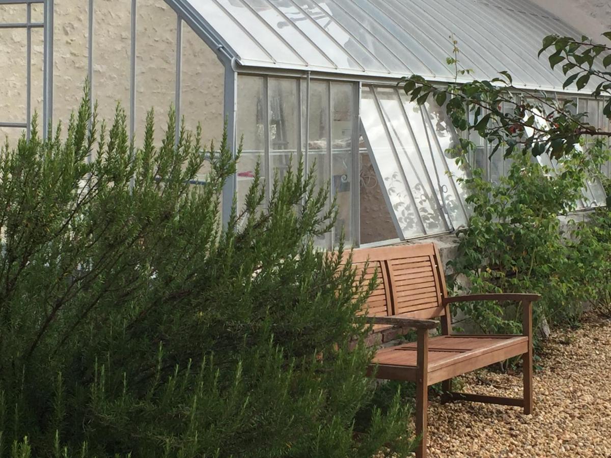 L'Orangerie "The Orangery" Du Parc Des Nouies Villa Selles-sur-Cher Exteriör bild